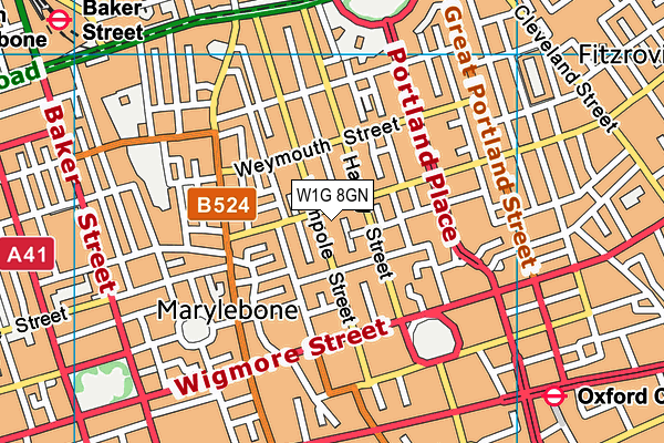 W1G 8GN map - OS VectorMap District (Ordnance Survey)