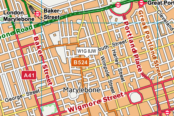 W1G 8JW map - OS VectorMap District (Ordnance Survey)