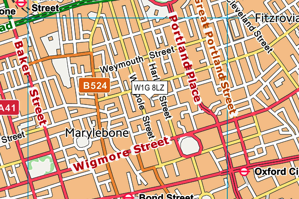 W1G 8LZ map - OS VectorMap District (Ordnance Survey)