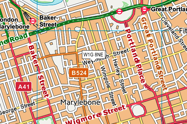 W1G 8NE map - OS VectorMap District (Ordnance Survey)