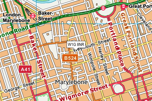 W1G 8NR map - OS VectorMap District (Ordnance Survey)