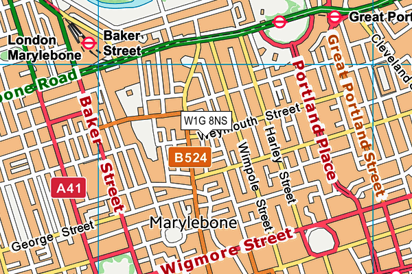 W1G 8NS map - OS VectorMap District (Ordnance Survey)