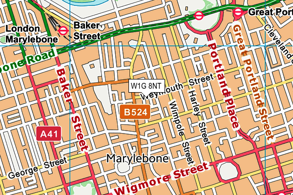W1G 8NT map - OS VectorMap District (Ordnance Survey)