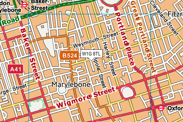 W1G 8TL map - OS VectorMap District (Ordnance Survey)