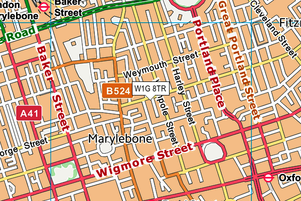 W1G 8TR map - OS VectorMap District (Ordnance Survey)