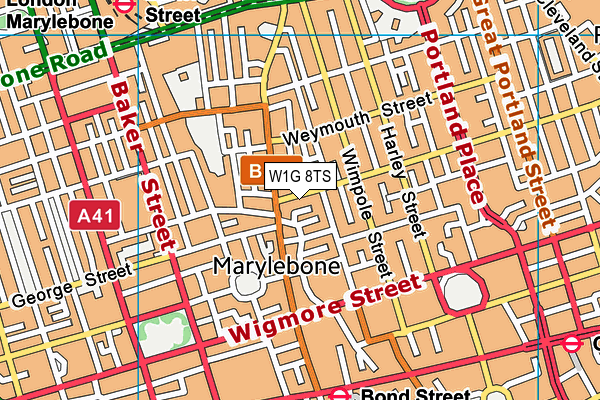 W1G 8TS map - OS VectorMap District (Ordnance Survey)