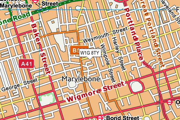 W1G 8TY map - OS VectorMap District (Ordnance Survey)