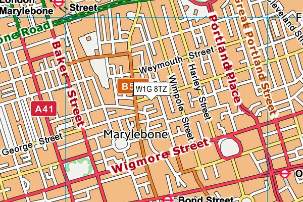 W1G 8TZ map - OS VectorMap District (Ordnance Survey)