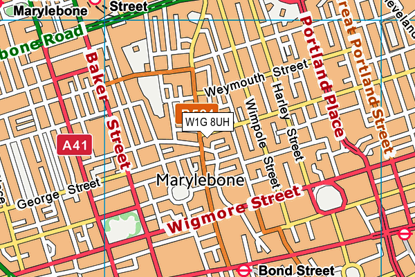 W1G 8UH map - OS VectorMap District (Ordnance Survey)