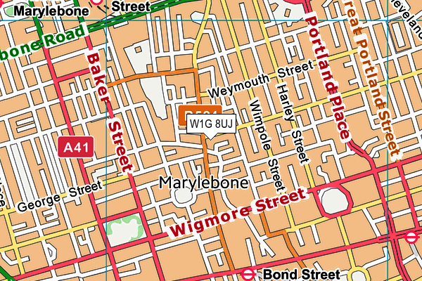 W1G 8UJ map - OS VectorMap District (Ordnance Survey)
