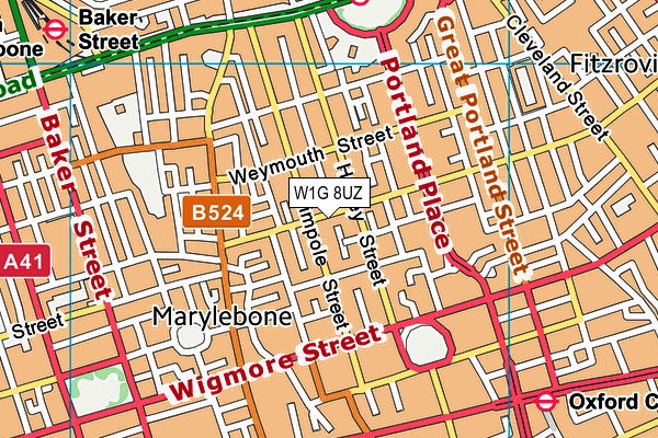 W1G 8UZ map - OS VectorMap District (Ordnance Survey)