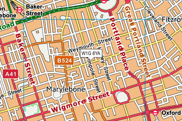 W1G 8YA map - OS VectorMap District (Ordnance Survey)