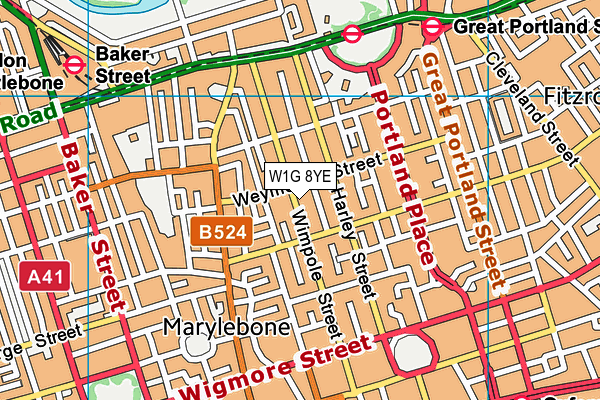 W1G 8YE map - OS VectorMap District (Ordnance Survey)