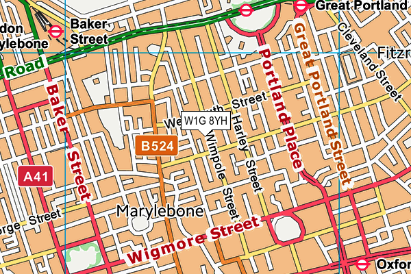 W1G 8YH map - OS VectorMap District (Ordnance Survey)