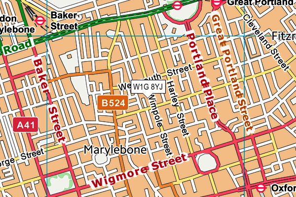 W1G 8YJ map - OS VectorMap District (Ordnance Survey)