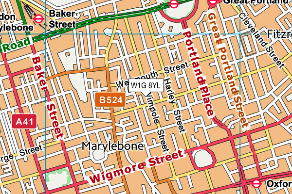 W1G 8YL map - OS VectorMap District (Ordnance Survey)