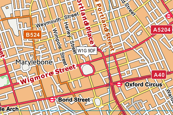 W1G 9DF map - OS VectorMap District (Ordnance Survey)