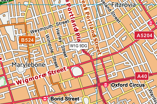 W1G 9DG map - OS VectorMap District (Ordnance Survey)