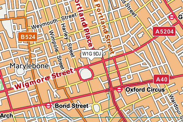 W1G 9DJ map - OS VectorMap District (Ordnance Survey)
