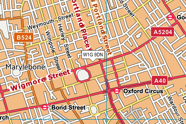 W1G 9DN map - OS VectorMap District (Ordnance Survey)
