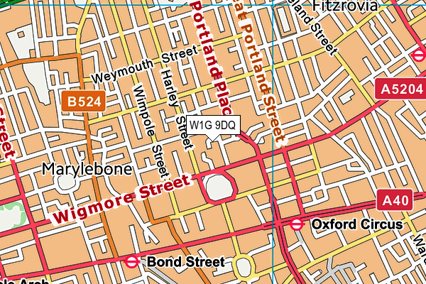 W1G 9DQ map - OS VectorMap District (Ordnance Survey)