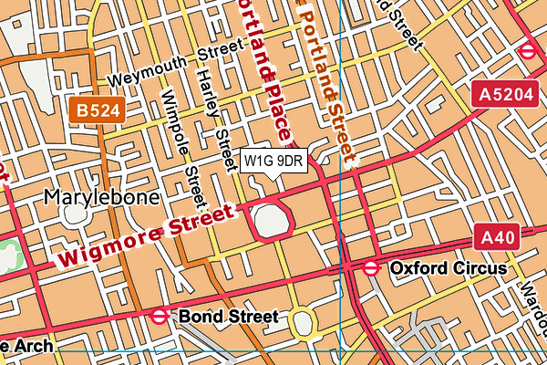 W1G 9DR map - OS VectorMap District (Ordnance Survey)