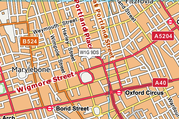 W1G 9DS map - OS VectorMap District (Ordnance Survey)