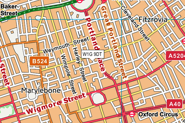 W1G 9DT map - OS VectorMap District (Ordnance Survey)