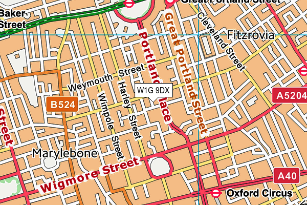 W1G 9DX map - OS VectorMap District (Ordnance Survey)