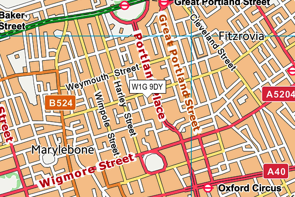 W1G 9DY map - OS VectorMap District (Ordnance Survey)