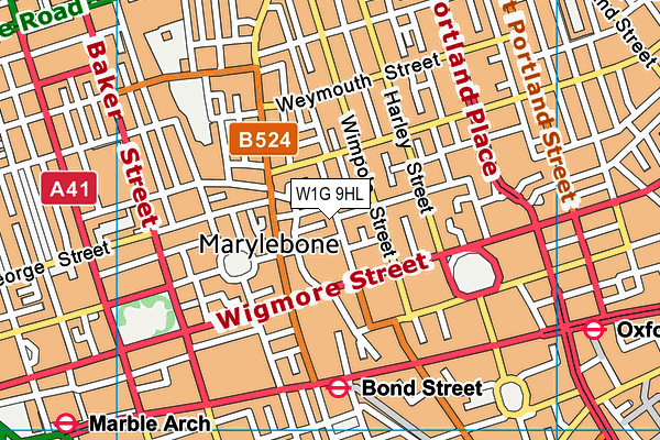 W1G 9HL map - OS VectorMap District (Ordnance Survey)