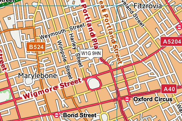 W1G 9HN map - OS VectorMap District (Ordnance Survey)