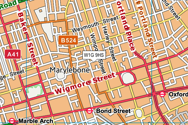 W1G 9HS map - OS VectorMap District (Ordnance Survey)