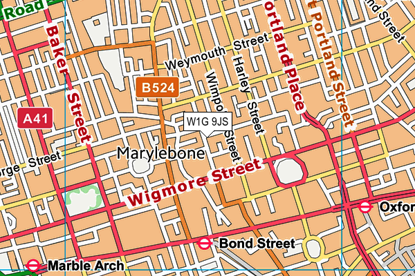 W1G 9JS map - OS VectorMap District (Ordnance Survey)