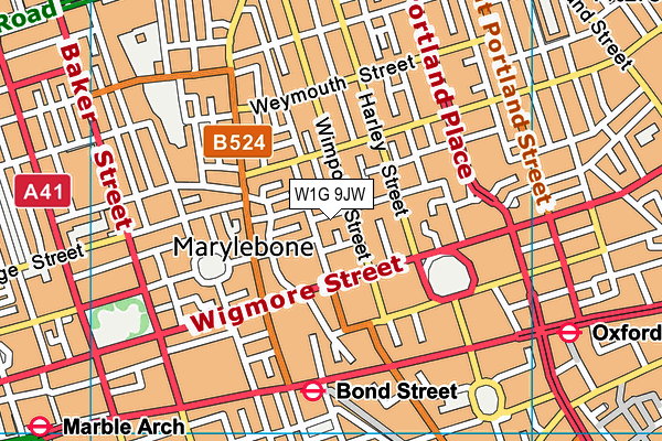W1G 9JW map - OS VectorMap District (Ordnance Survey)