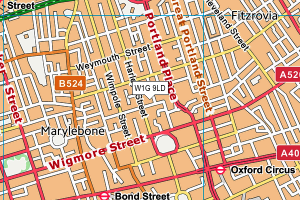 W1G 9LD map - OS VectorMap District (Ordnance Survey)