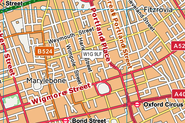 W1G 9LF map - OS VectorMap District (Ordnance Survey)