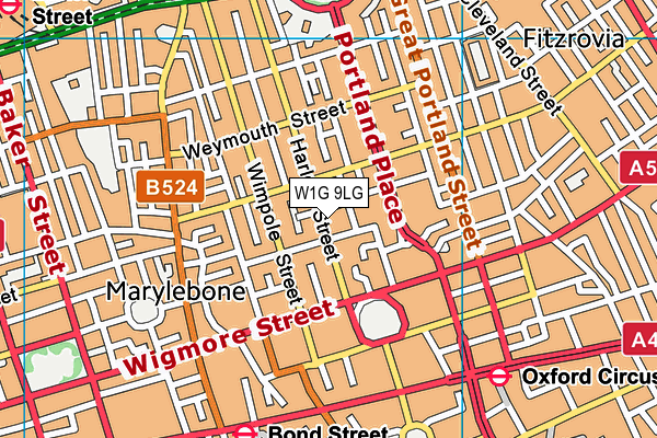 W1G 9LG map - OS VectorMap District (Ordnance Survey)