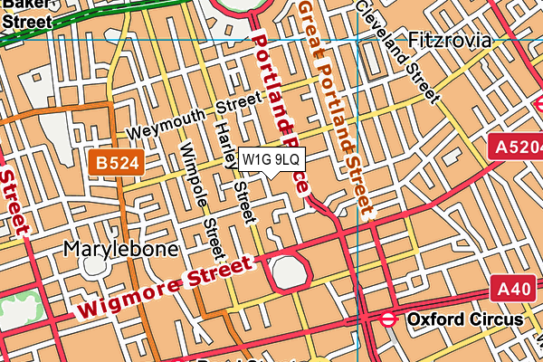 W1G 9LQ map - OS VectorMap District (Ordnance Survey)