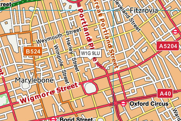 W1G 9LU map - OS VectorMap District (Ordnance Survey)