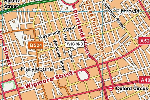 W1G 9ND map - OS VectorMap District (Ordnance Survey)