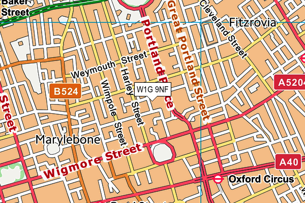 W1G 9NF map - OS VectorMap District (Ordnance Survey)