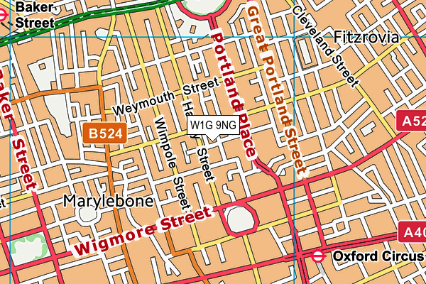 W1G 9NG map - OS VectorMap District (Ordnance Survey)