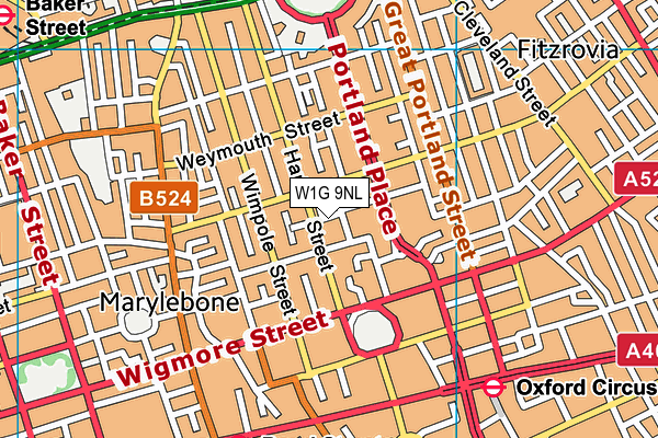 W1G 9NL map - OS VectorMap District (Ordnance Survey)