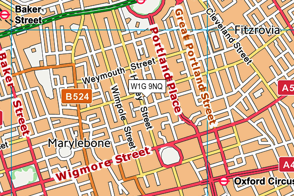 W1G 9NQ map - OS VectorMap District (Ordnance Survey)