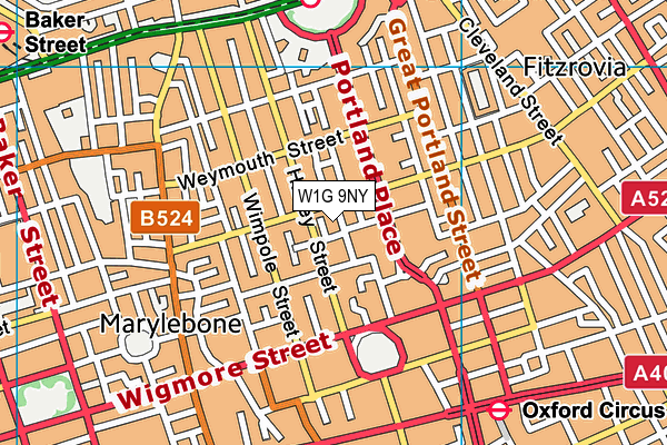 W1G 9NY map - OS VectorMap District (Ordnance Survey)