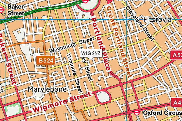 W1G 9NZ map - OS VectorMap District (Ordnance Survey)