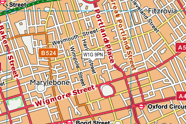 W1G 9PN map - OS VectorMap District (Ordnance Survey)