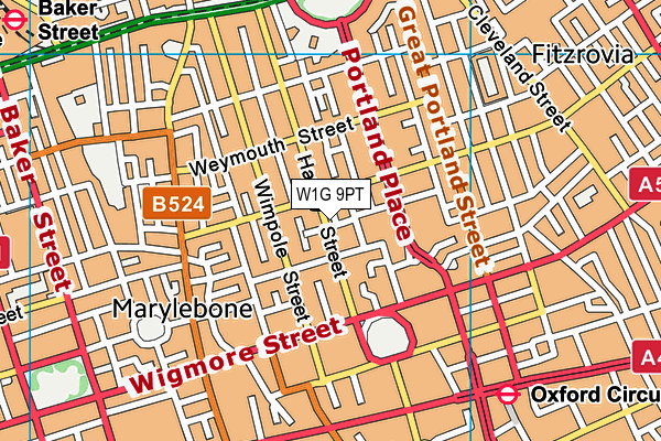 W1G 9PT map - OS VectorMap District (Ordnance Survey)