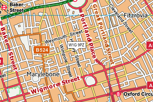 W1G 9PZ map - OS VectorMap District (Ordnance Survey)